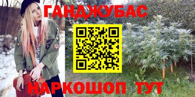 гашик Боровичи