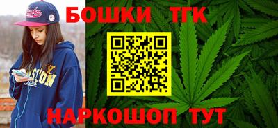 гашик Боровичи
