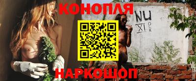 гашик Боровичи