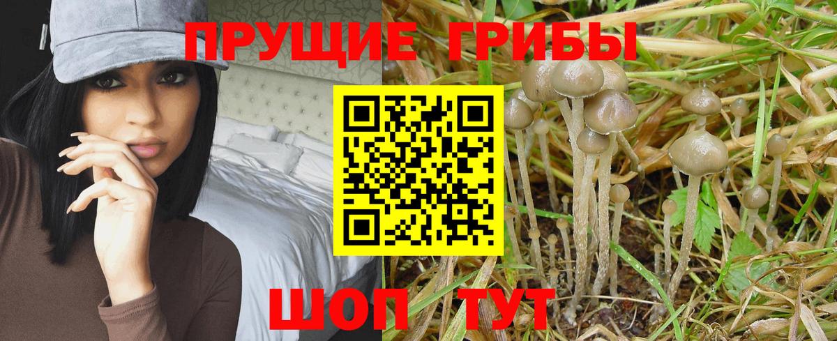 Галлюциногенные грибы прущие грибы  Вход с VPN  Галлюциногенные грибы Cubensis  Бахчисарай 